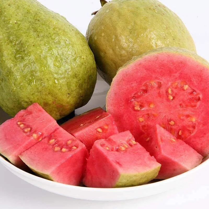 đ„đ±Guava Graines de goyave-fraise