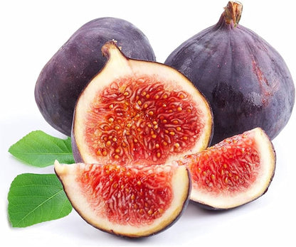 Graines de figues Brown Turkey – Haut rendement et faciles à cultiver