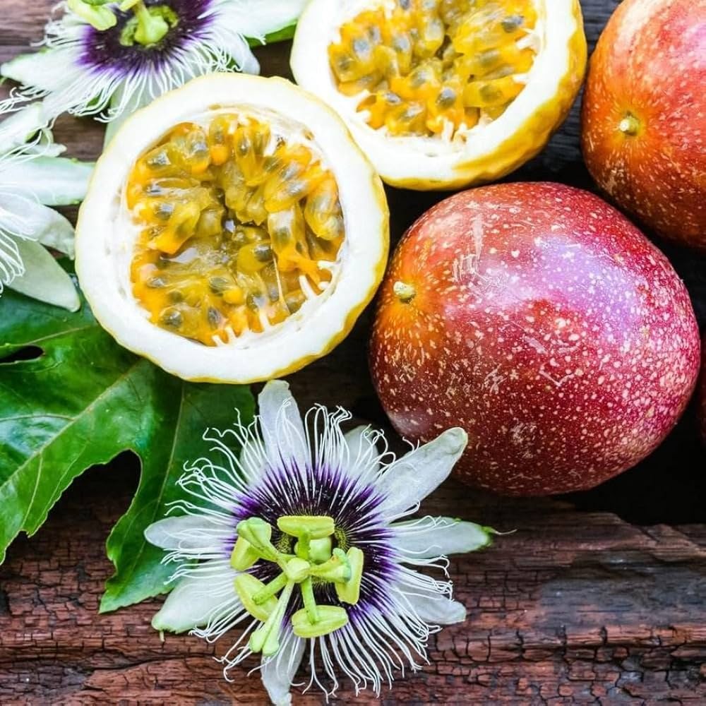GRAINES DE FRUIT DE LA PASSION