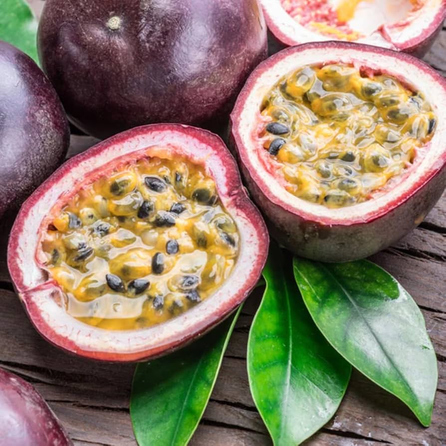 GRAINES DE FRUIT DE LA PASSION