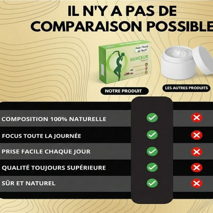 MINCEUR TRICOUCHE | Azur Fleurs de Bach