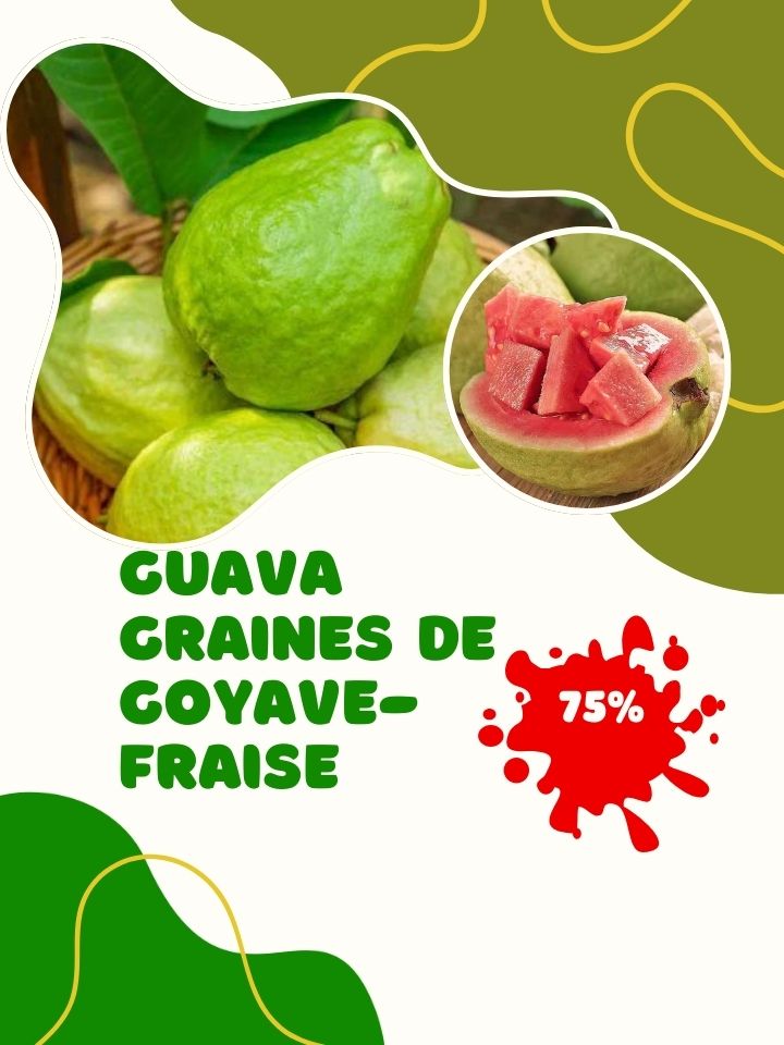 🔥🌱Guava Graines de goyave-fraise